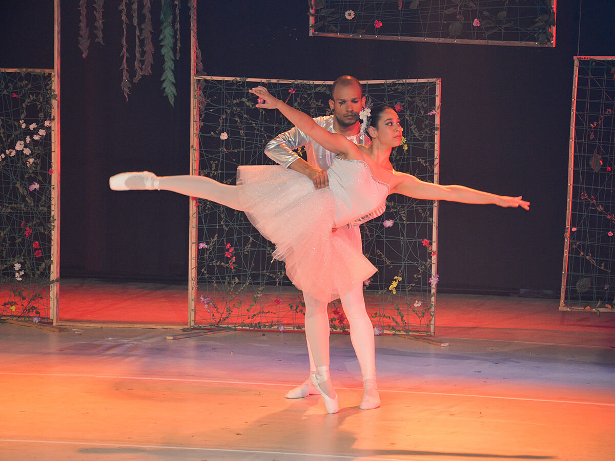 Ballet Pas Deux